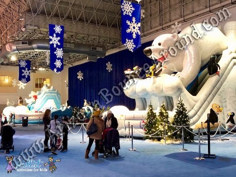 Polar Plunge dual lane slide rental Phoenix Arizona